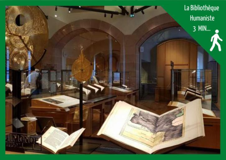 Grenier Des Cigognes Διαμέρισμα Sélestat Εξωτερικό φωτογραφία