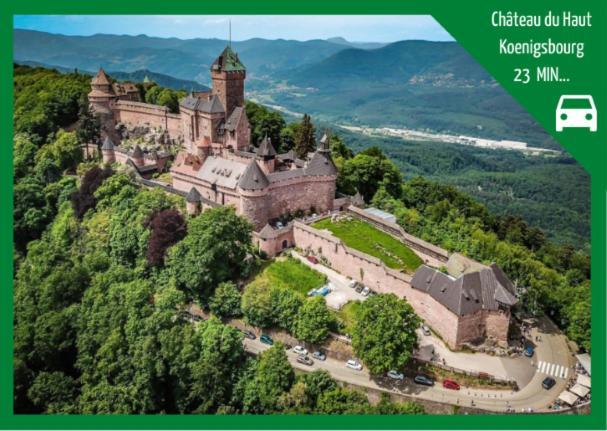 Grenier Des Cigognes Διαμέρισμα Sélestat Εξωτερικό φωτογραφία